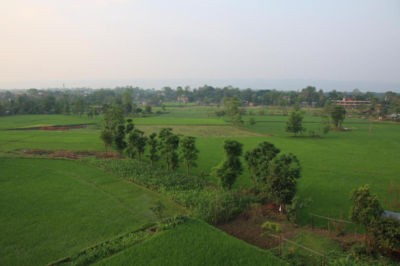 Sweet Home Chitwan Dış mekan fotoğraf